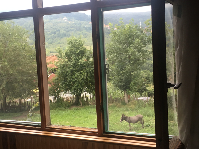 The view from my room in the village.